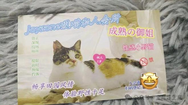 新消费品从业者的五年创业思考CQ9电子专用平台深度 一个(图10)