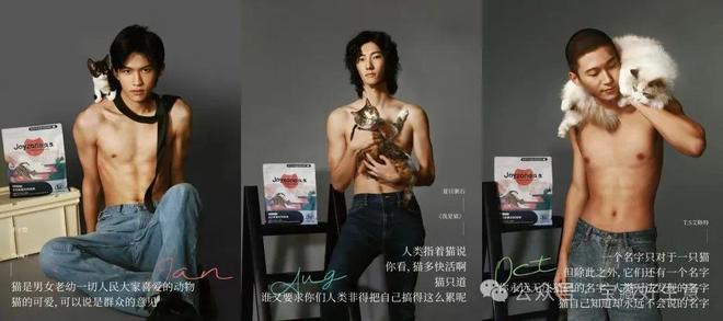 新消费品从业者的五年创业思考CQ9电子专用平台深度 一个(图11)