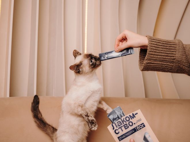 opet宠物零食以昆虫蛋白开辟全新赛道CQ9电子中国网站中俄联合品牌cosm(图2)