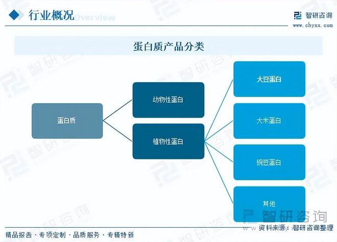 蛋白行业市场现状及未来发展前景（智研咨询发布）CQ9电子游戏网站研判2025！一文读懂大豆(图2)